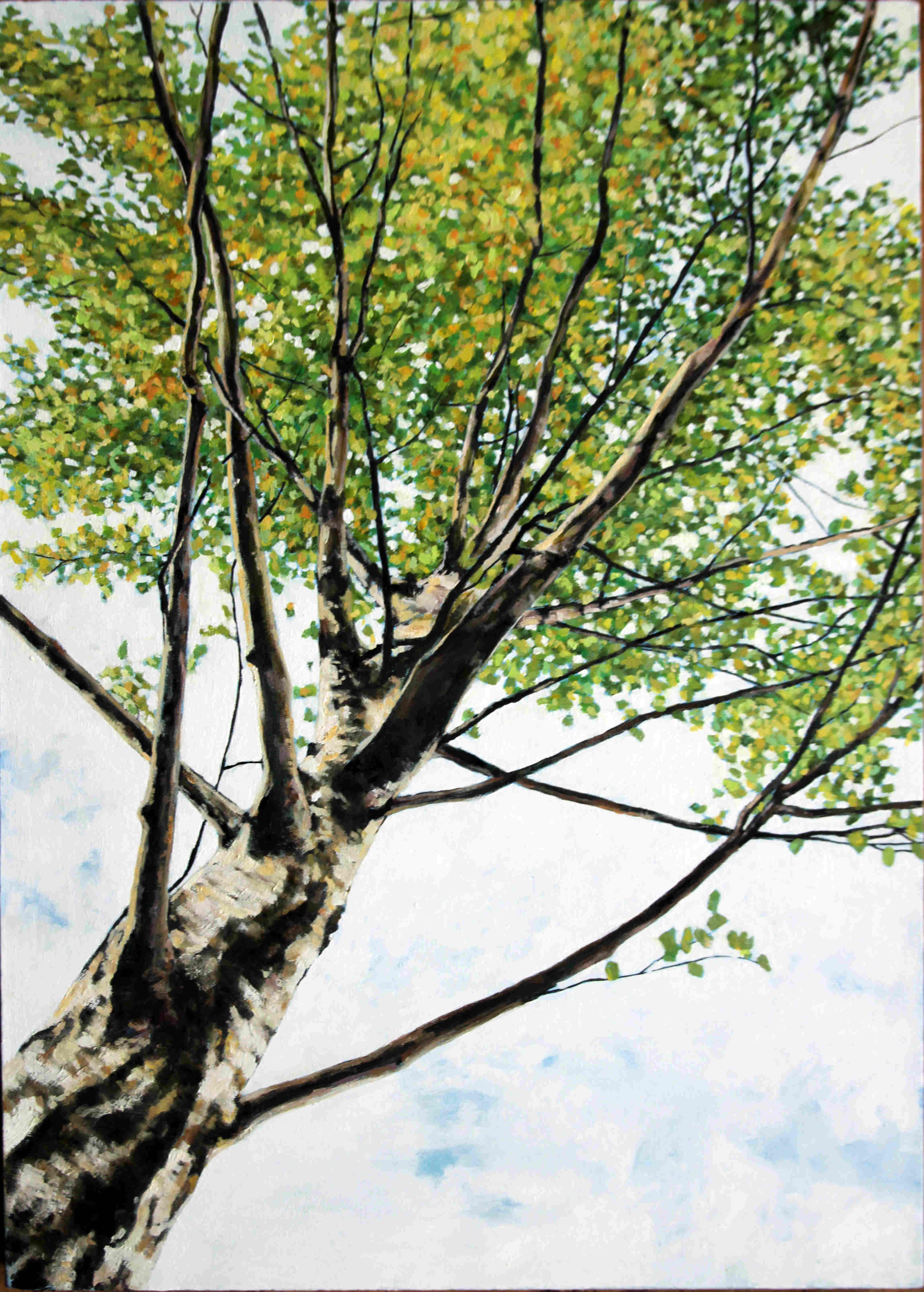 'Speirs Birch' by artist Gavin Weir